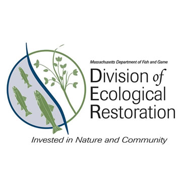 division-eco-restoration