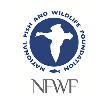 nfwf-logo