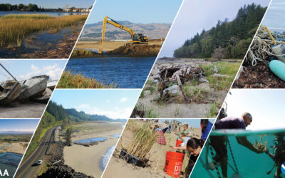 NOAA Awards Herring River Restoration Project, Phase 1 – Town of Wellfleet: $14.6 million