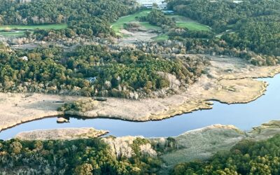 Cape Cod National Seashore Announces Funding Support and Contract Award for Major Herring River Restoration Project Component